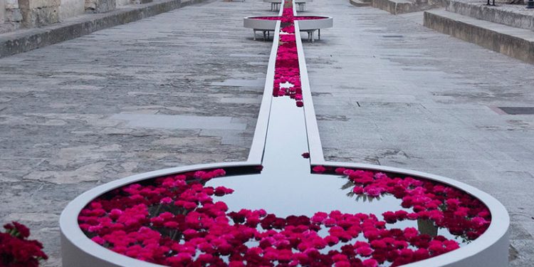 festival flora cordoba