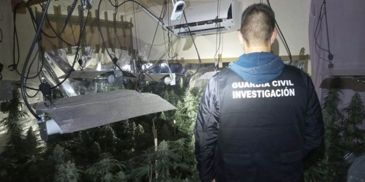 La Guardia Civil incauta 4.000 plantas de marihuana en Loja y Peligros