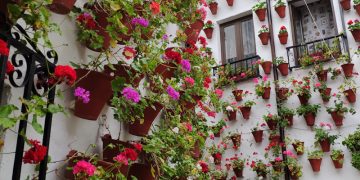 Comienza el Festival de los Patios de Córdoba