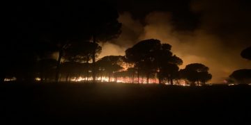 Incendio Almonte Huelva