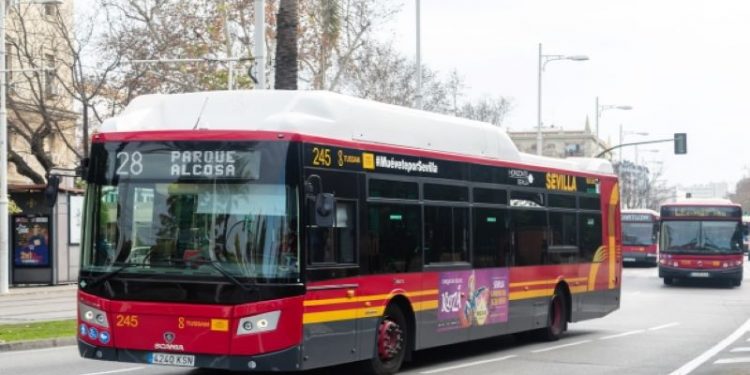 Los autobuses urbanos de Sevilla se ponen en alerta por Halloween