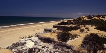 Dunas Matalascañas Playa Almonte Huelva