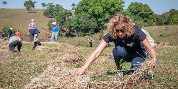 Andalucía cuenta con 3.000 entidades de voluntariado que crecen en casi 700 en diez años