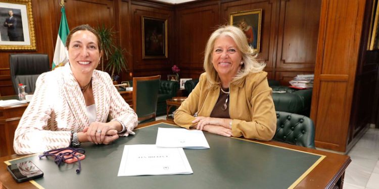 El Senado inicia un procedimiento a la alcaldesa de Marbella por ocultar parte de su patrimonio