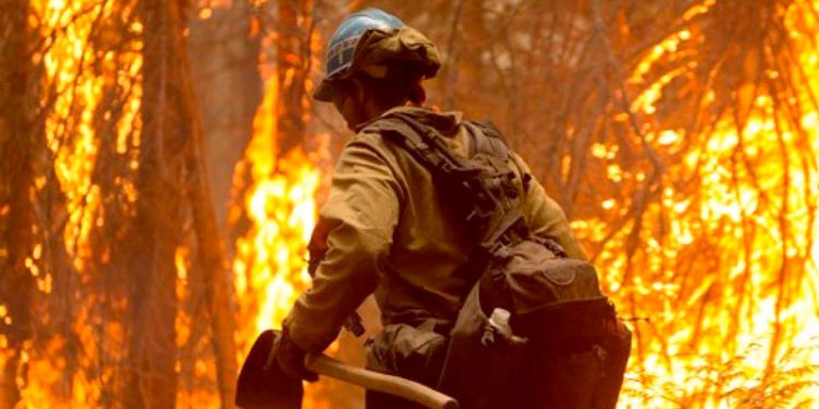 CSIF reclama a la Junta de Andalucía que regularice la situación de los celadores forestales y acabe con el vacío legal en que se encuentran