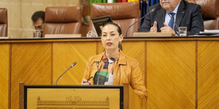 El PSOE asegura que «al PP no le importan las mujeres, le importan los votos: lo suyo es feminismo impostado»