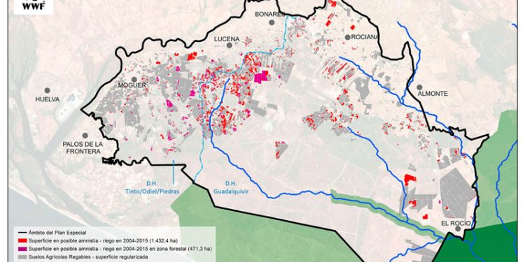 WWF señala que la ‘Ley anti Doñana’ de Juanma Moreno permitiría «legalizar» cerca de 1.900 hectáreas de cultivos