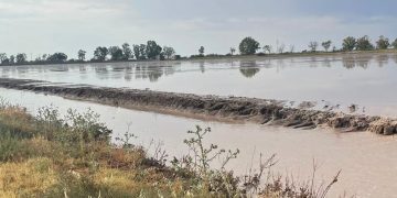 Las tormentas destruyen los cultivos de Los Palacios