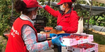 datos paro junio andalucia junio 2023