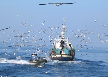 El Gobierno de España agiliza la concesión de ayudas al sector pesquero afectado por la finalización del protocolo de pesca UE-Marruecos