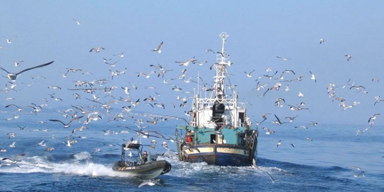 El Gobierno de España agiliza la concesión de ayudas al sector pesquero afectado por la finalización del protocolo de pesca UE-Marruecos