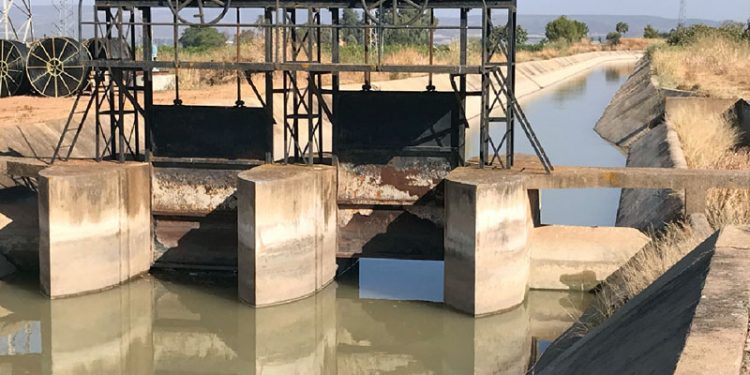 La CHG autoriza un centenar de contratos de cesión de derechos de riego en la cuenca del Guadalquivir