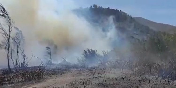 El Infoca luchar por controlar un incendio en un paraje de Órgiva, en Granada