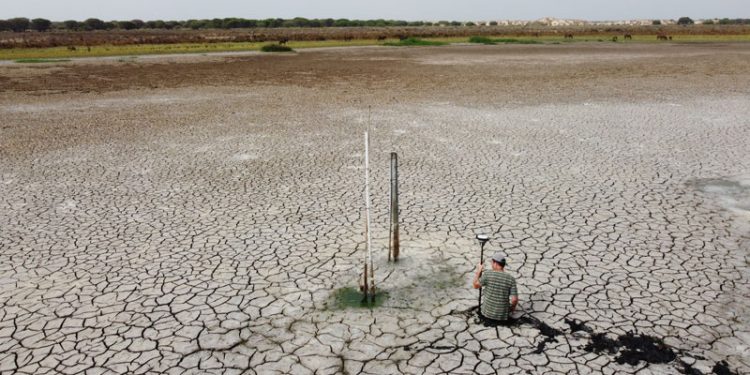 Santa Olalla, la laguna más grande de Doñana, se seca por segundo año consecutivo