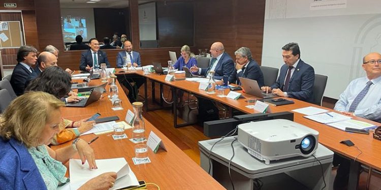 El Parlamento aprueba el reconocimiento de dos universidades privadas en Andalucía con la «oposición» de los rectores