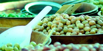Andalucía, líder de ventas de aceitunas con una factura de récord de 470 millones