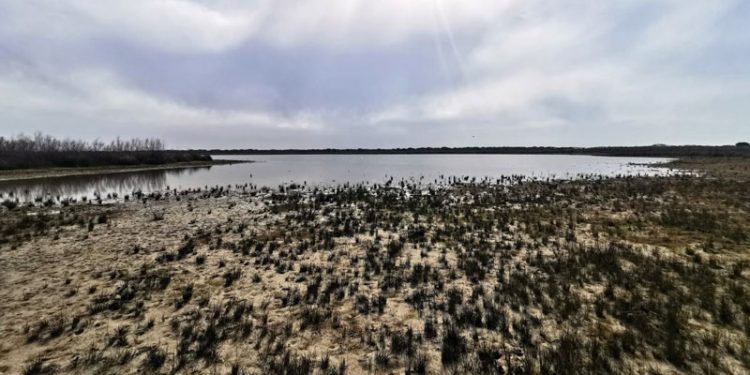 Andalucía contará con su IV Decreto de Sequía