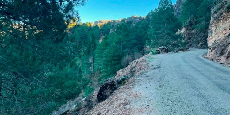 camino forestal las villas jaen