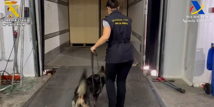 Intervenidas 25 toneladas de hachís en el puerto de Algeciras