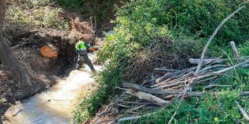 La CHG inicia los trabajos de conservación y mejora de cauces en la zona de Granada
