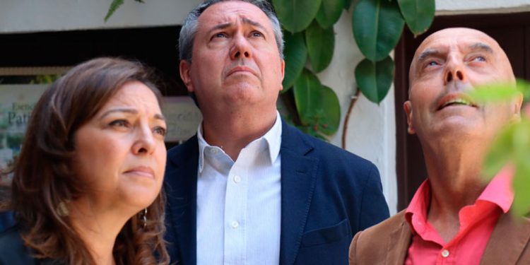 El PSOE presentará un recurso ante el TC contra el último decreto de simplificación de la Junta