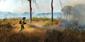 Controlado el incendio de Pinares de Cartaya