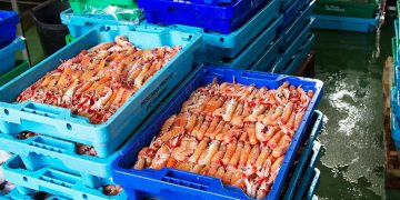 Andalucía registra un aumento del 71,6% en las exportaciones pesqueras durante los últimos años