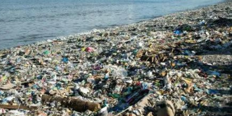 Residuos Playa Costa Mar