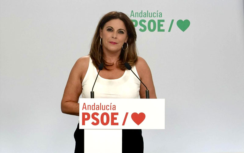 El PSOE afea que Moreno se ausente de una «situación crítica» como el Virus del Nilo «que se lleva a gente por delante»