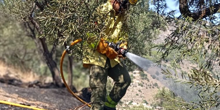 Estabilizado el incendio forestal de Almuñécar
