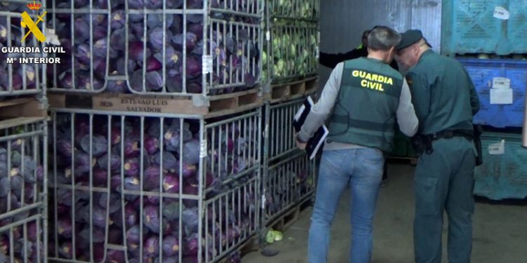 Cuatro detenidos y 16 investigados en Motril por la venta de falsos productos ecológicos