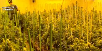 La Guardia Civil detiene en Córdoba a 26 personas por tráfico de drogas y tenencia ilícita de armas