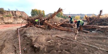 La CHG actúa de manera urgente en cauces de Granada para reparar los daños de la DANA