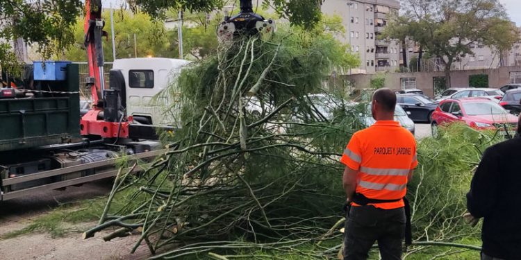 El Ayuntamiento de Jerez habilita un número de teléfono para damnificados por la DANA