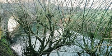 Las lluvias de las últimas semanas transforman los pantanos de Andalucía