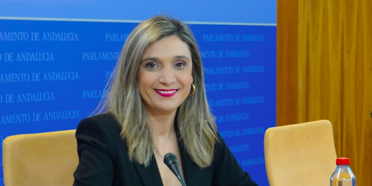 El PSOE-A llama a la ciudadanía a unirse a la manifestación en defensa de la sanidad pública y denuncia el desmantelamiento del sistema sanitario en Andalucía