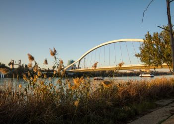 Máxima tensión en el Sevilla pese a asegurar la permanencia: amenazas, pancartas y protestas violentas