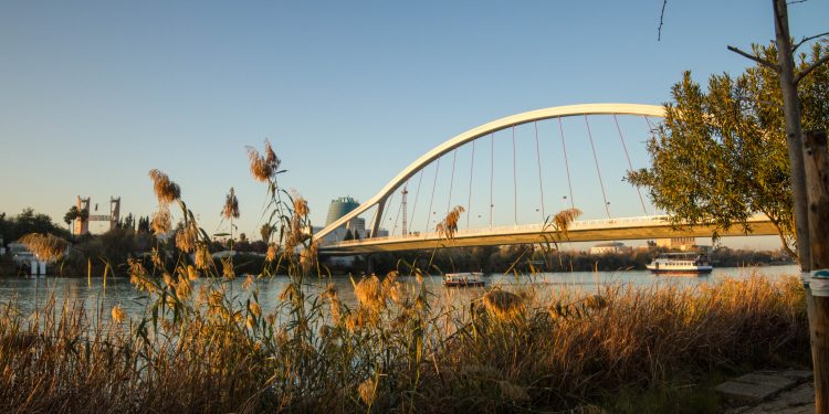 Máxima tensión en el Sevilla pese a asegurar la permanencia: amenazas, pancartas y protestas violentas