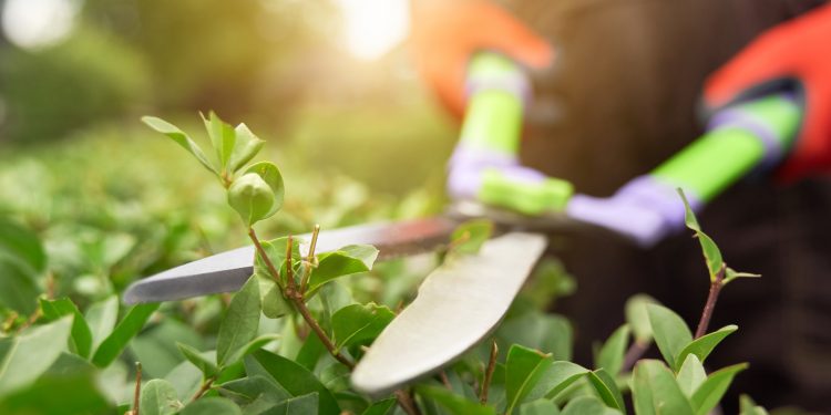 Parques y Jardines de Sevilla se queda sin 35 vehículos por la expiración de su contrato de renting