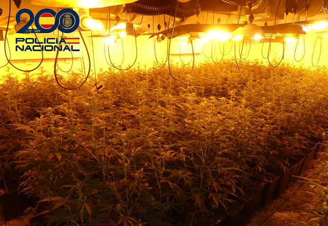 Un tiroteo en Linares: Detenciones por tráfico de drogas y tenencia ilícita de armas