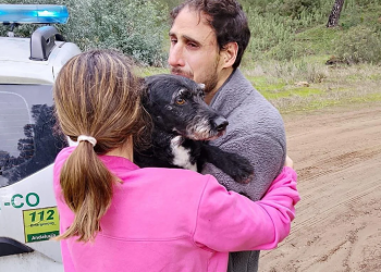 Boro, el perro desaparecido en el accidente de Adamuz, vuelve con su familia a casa