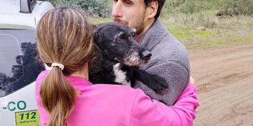 Boro, el perro desaparecido en el accidente de Adamuz, vuelve con su familia a casa