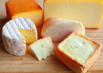 ¿Queso graso y un cerebro sano? Un estudio cuestiona las dietas bajas en grasa