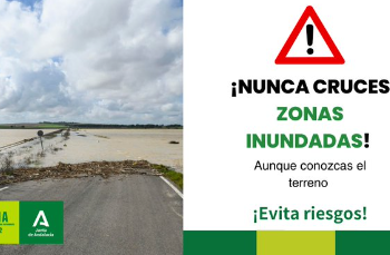 Última hora: Se eleva la emergencia a nivel 2 en Andalucía: suspensión de clases, entre otras medidas.