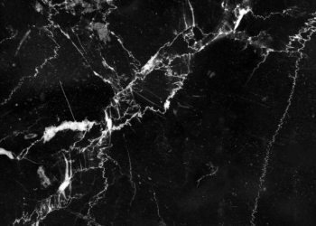 Cuando el mundo deja de sonar: vivir con una pérdida auditiva súbita