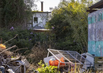 Horror y supervivencia en Murcia: una mujer escapa tras casi dos años de cautiverio