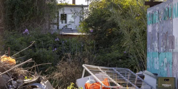 Horror y supervivencia en Murcia: una mujer escapa tras casi dos años de cautiverio