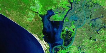 Doñana: Un paisaje verde tras años de sequía