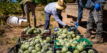 La subida del salario mínimo en España: dos décadas de cambios y debates