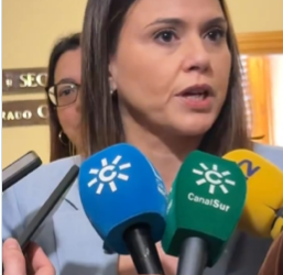 El Ayuntamiento de Jaén aprueba la creación del Consejo Local de Participación del Pueblo Gitano